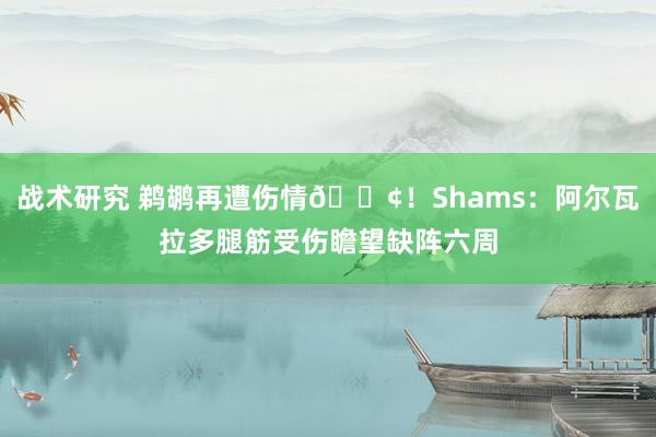 战术研究 鹈鹕再遭伤情😢！Shams：阿尔瓦拉多腿筋受伤瞻望缺阵六周