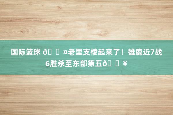 国际篮球 😤老里支棱起来了！雄鹿近7战6胜杀至东部第五🔥