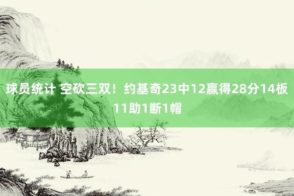 球员统计 空砍三双！约基奇23中12赢得28分14板11助1断1帽