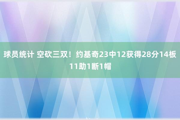 球员统计 空砍三双！约基奇23中12获得28分14板11助1断1帽