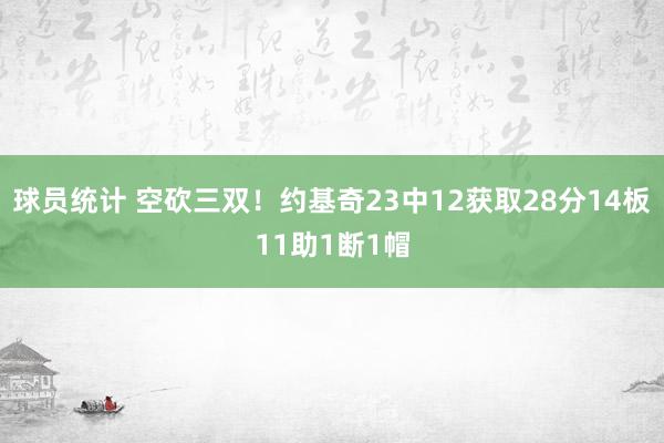 球员统计 空砍三双！约基奇23中12获取28分14板11助1断1帽