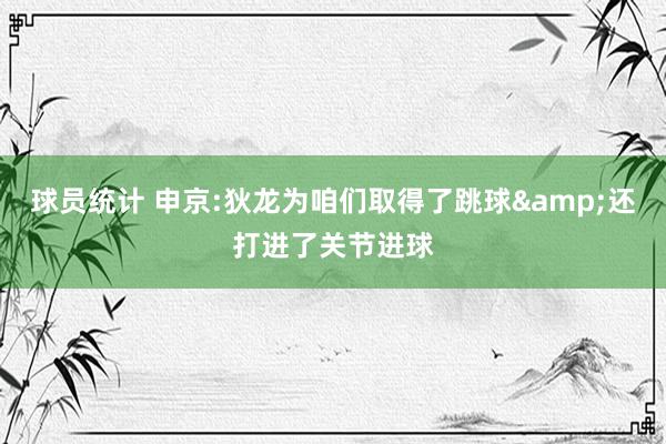 球员统计 申京:狄龙为咱们取得了跳球&还打进了关节进球