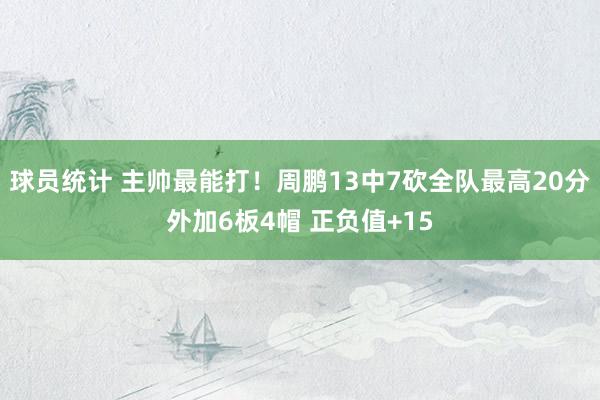 球员统计 主帅最能打！周鹏13中7砍全队最高20分外加6板4帽 正负值+15