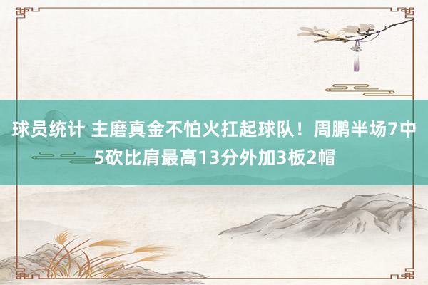 球员统计 主磨真金不怕火扛起球队！周鹏半场7中5砍比肩最高13分外加3板2帽