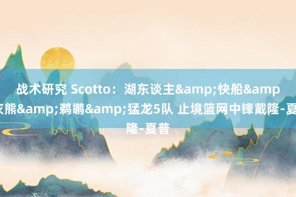 战术研究 Scotto：湖东谈主&快船&灰熊&鹈鹕&猛龙5队 止境篮网中锋戴隆-夏普